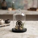 VDM0406BB - Medium Glass Cloche with Base - 5.7"