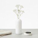 Medium Highball Bud Vase - 6" (Various Colors)