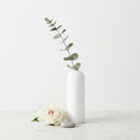 Large Highball Bud Vase - 8" (Various Colors)