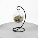 Black Metal Terrarium Hanger Collection – Decorative Hanging Display Stands (Various Sizes)