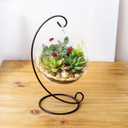 Black Metal Terrarium Hanger Collection – Decorative Hanging Display Stands (Various Sizes)