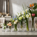 5" Diameter Glass Cylinder Vase  (Various Heights - Under 15")