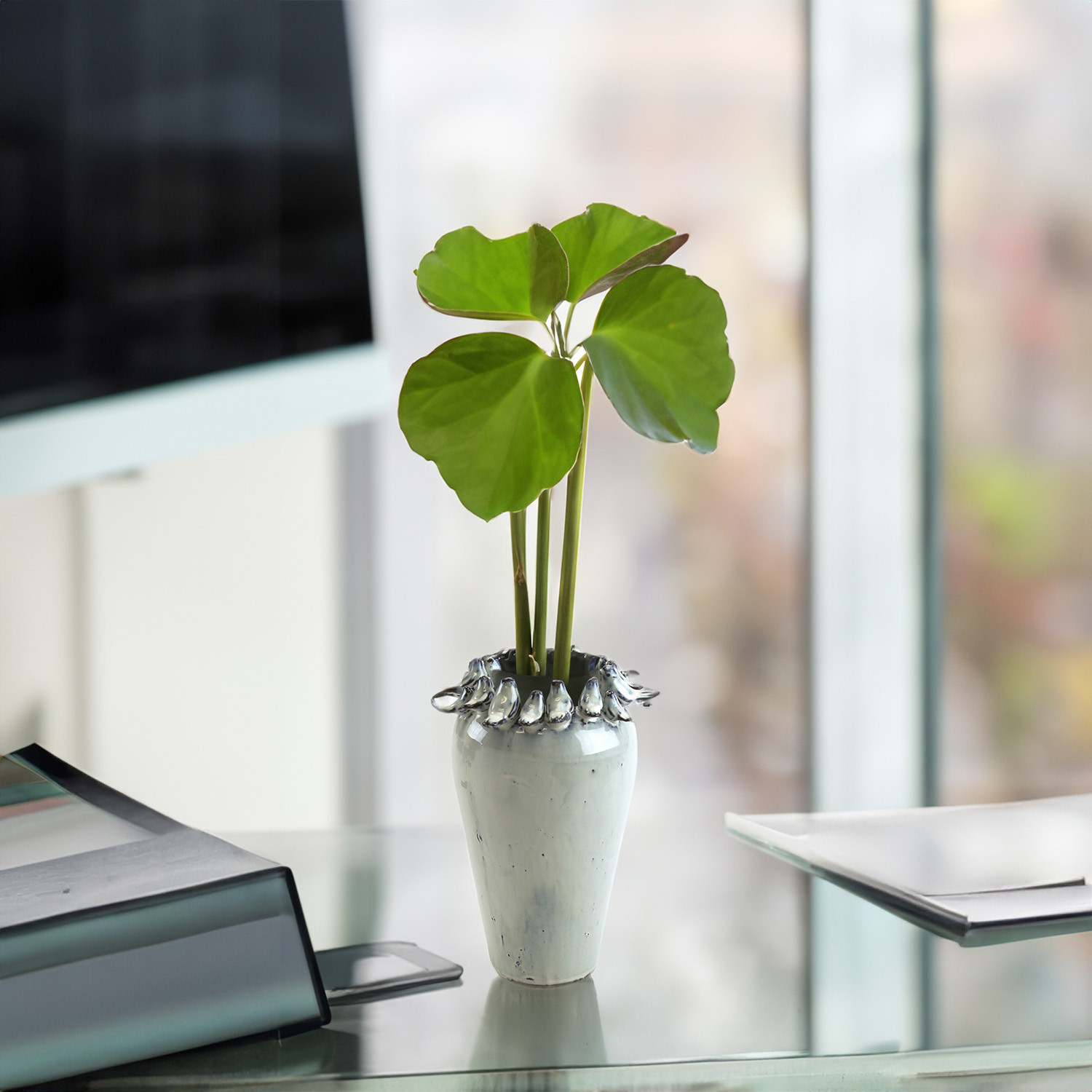 Ceramics WGV International Wholesale Glass Vases International