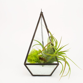 GET0610BK Tall Black Raised Pyramid Geometric Glass Terrarium. 9.5"H - (9 pcs)