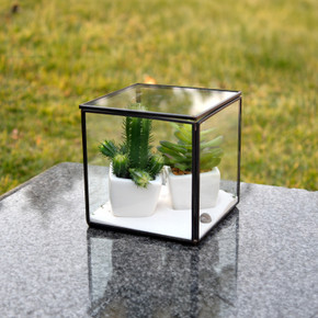 GET0705BK Black Box with Lid Geometric Glass Terrarium. 5"H - (12 pcs)