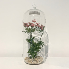 HCH0512 Cylinder Hanging Terrarium - 4x12" (12pcs)