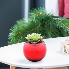 VBW0006RD Red Bubble Bowl Vase - 6" (24 pcs)