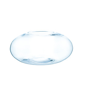 VBW1506 Clear Flat Oval Garden Bowl Vase -  12" W x 6" H (4 pcs)