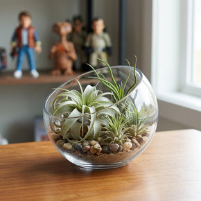 VHC0705 - Slant Bowl Glass Vase - 5"