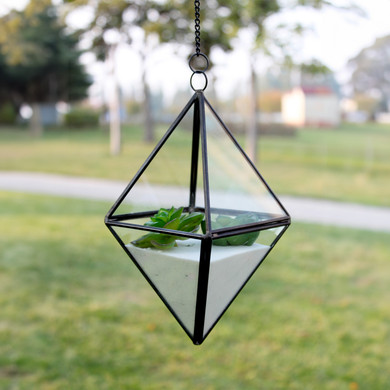 GET0808BK Black Standing Diamond Geometric Glass Terrarium. 8"H - (6 pcs)