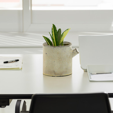 CYC2505WG - Medium Birch Log Vase - 4.6" W x 4.7" H