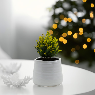 CUB6406WT Large White Bowl Pot - 5.7" H