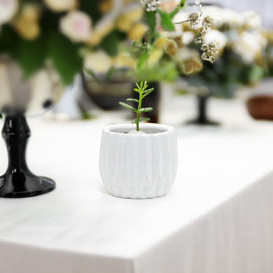 CUD0305WT Medium Unique Modern White Pot - 5.1" H (12 pcs)