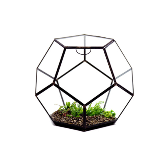 GET1209BK - Medium Black Prism Dodecahedron Geometric Glass Terrarium - 7.5"H