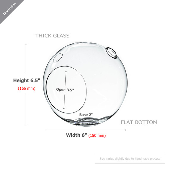 HCH0106NH - Globe Terrarium / No Hook - 6.5"