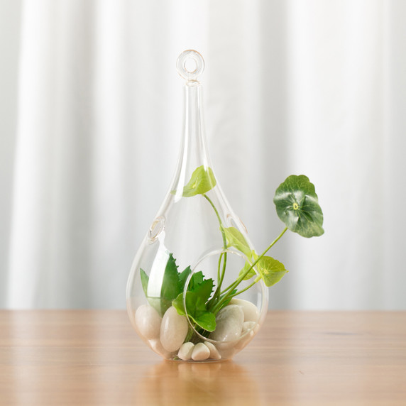 HCH0209 - Tear Drop Hanging Glass Terrarium - 2.5"x9.5"