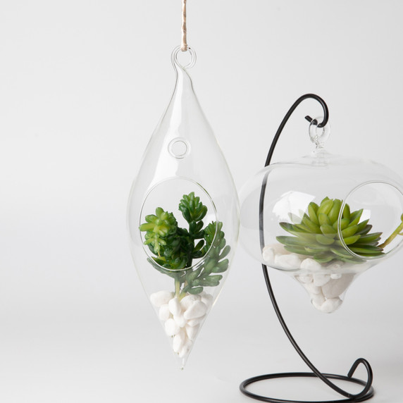 HCH0408 - Hanging Glass Terrarium - 2"x9"