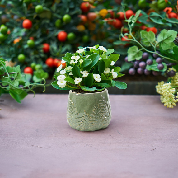 CLB9005GN - Medium Green Reactive Glazed Bowl with Fern Print - 6" W x 5" H (12 pcs/case)