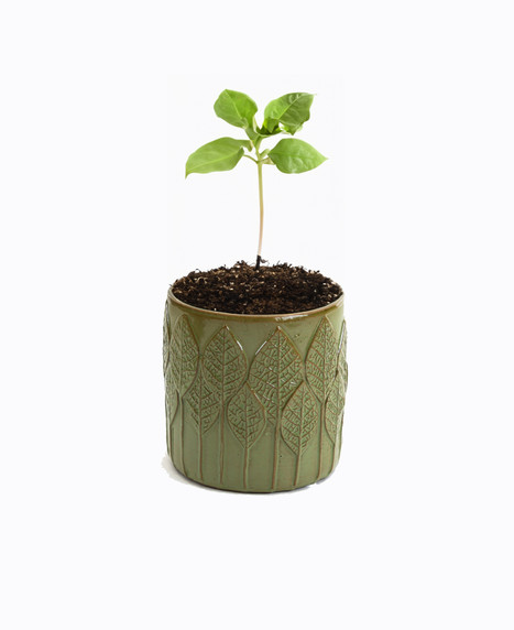 CYC3905GN - Medium Olive Green Leaf Cylinder Vase - 4.7" D x 4.7" H