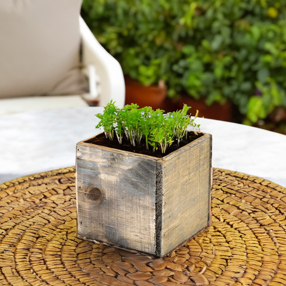 WCB0006RS - Rustic Wood Planter Box - 6" (12 pcs)