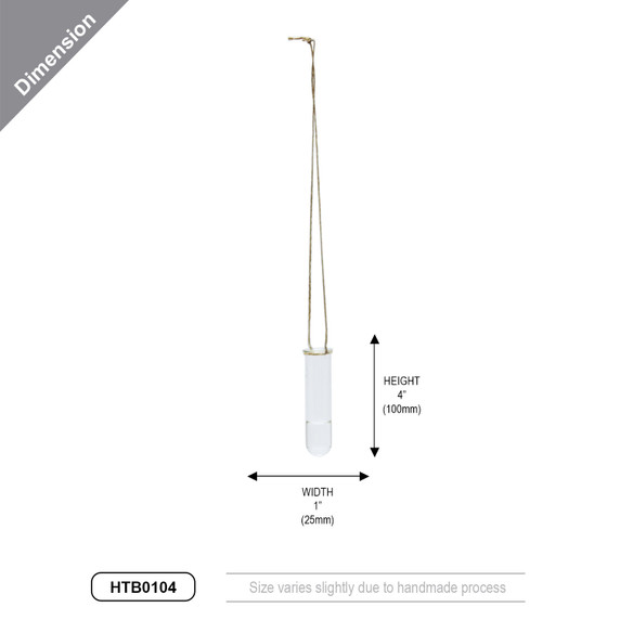 HTB0104 - Small Hanging Test Tube Vase - 4"