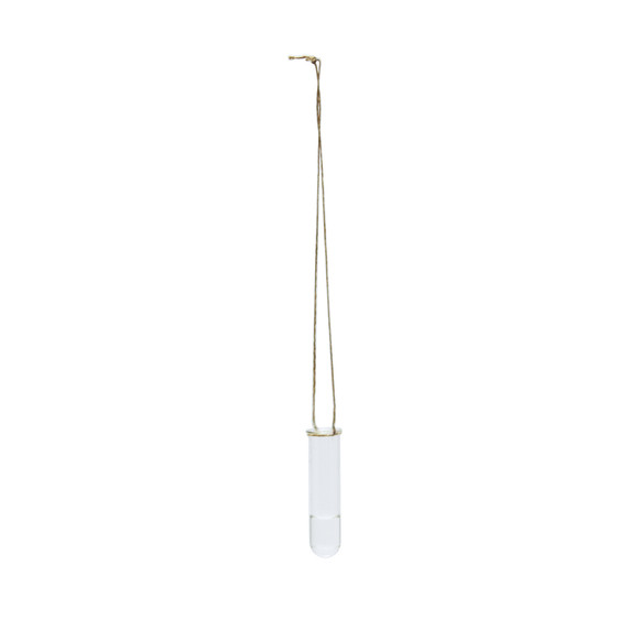 HTB0104 - Small Hanging Test Tube Vase - 4"