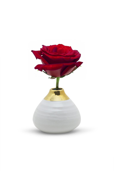 CUV5304GW - Medium White Round Bud Vase with Gold Rim - 4.1"x3.5"H