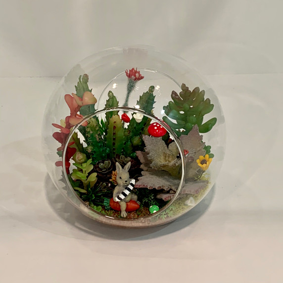 HCH0806 - Double Sided Opening Terrarium - 6" H