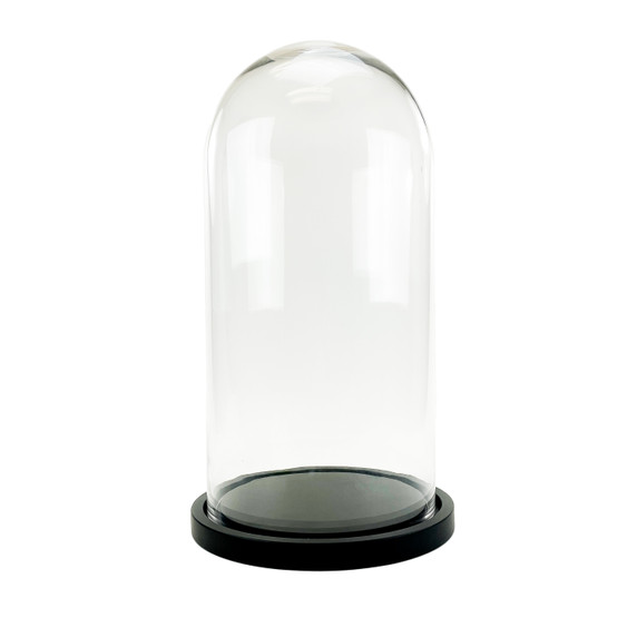 VDM1121WB - Large Glass Dome Cloche with Black Wood Base - 21"