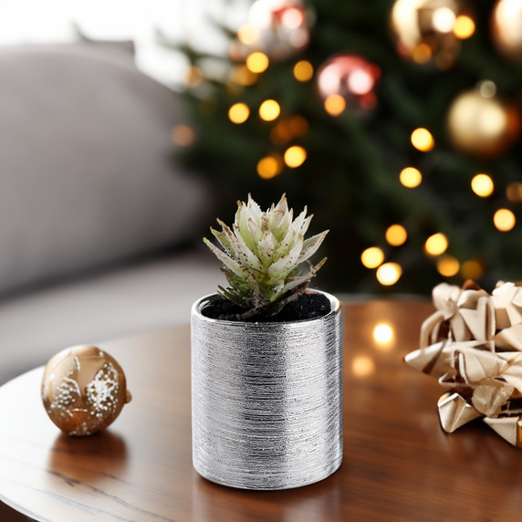 Textured Silver Ceramic Cylinder Vase - 4"H