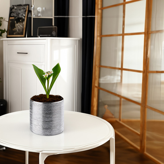 Ceramic Cylinder Vase - 6"H (Various Colors)