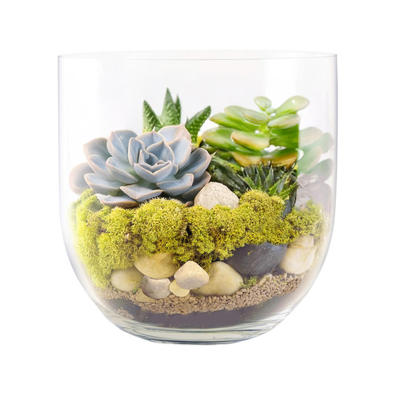 VBW3108 - Peninsula Bowl Vase - 8"