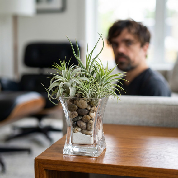 VUS0304 - Square Flared-Top Bud Vase - 4"