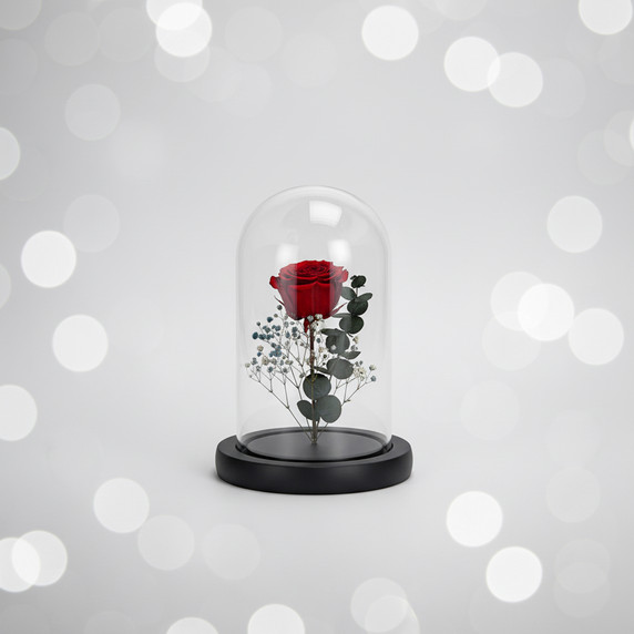 VDM0710WB - Small Glass Dome Cloche with Wood Base - 10"