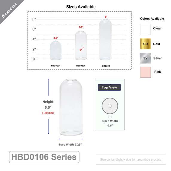 Medium Highball Bud Vase - 5.5" (Various Colors)