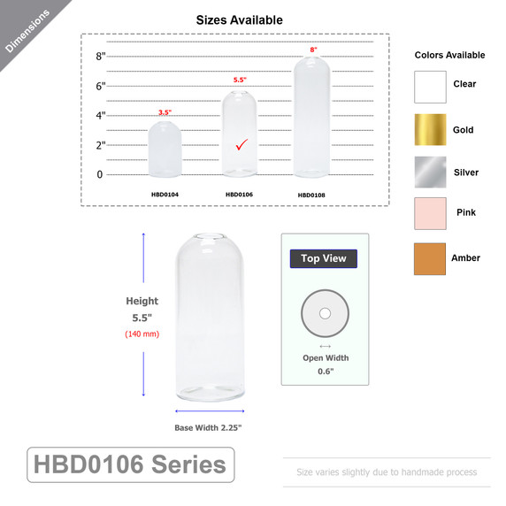 Medium Highball Bud Vase - 5.5" (Various Colors)
