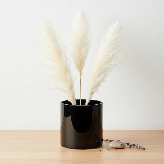 VCY0606BK - Black Glass Cylinder Vase - 6" x 6"