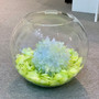 VBW1210 - Bubble Bowl Glass Vase - 12"x10"