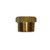 GP-750 Brass Plug for ZDM-825 Zinc Anode Elements - 3/4" NPT