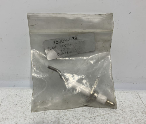 HTP 7500P-039 Flame Rectification Probe With Gasket