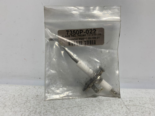 HTP 7350P-022 Flame Rectification Probe W/Gasket