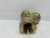 Watts 1XL Safety Relief Valve 1" x 1" 75-150 PSI
