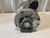 Dayton 6K376BF Belt Drive Fan & Blower Motor 3/4 HP 115/230V 1725 RPM