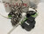 E-Mon D-Mon 480100 KIT 3-Phase KWH Meter 277/480V 100A