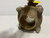 Apollo 82-208-01 Ball Valve 2" 600 PSI Full Port Bronze 3-Piece