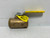 Apollo Valve 80-105-01 1" Ball Valve Bronze FNPT LP-Gas 600 psi
