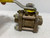 Apollo Valve 82-203-50 Ball Valve 1/2" Bronze Full Port 600 PSI