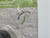 Rectorseal 97041 Sureseal Inline Floor Drain Trap Sealer 2"