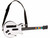 Wii Guitar Hero