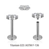 YLB12X20 Pack of 5 high polished titanium internally threaded labrets, Thickness 1.2mm, with twin 2mm prong set CZ stones